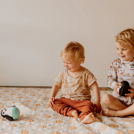 Jellystone Tučňák Wobble, SVĚTLE MODRÝ