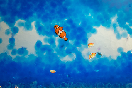 Petit Boum, Butelka dźwiękowa - RYBA