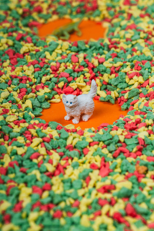 Petit Boum, Butelka obserwacyjna - ZWIERZĘTA